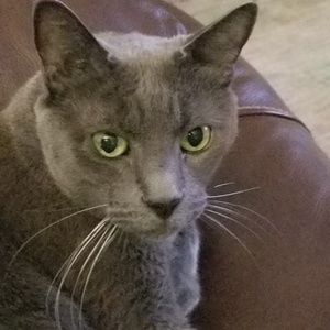 Meet your Posher, Phyllis